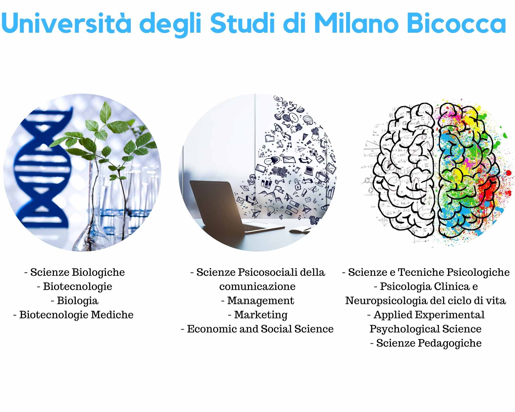 Tirocinio Post Laurea Psicologia Retribuito 2020